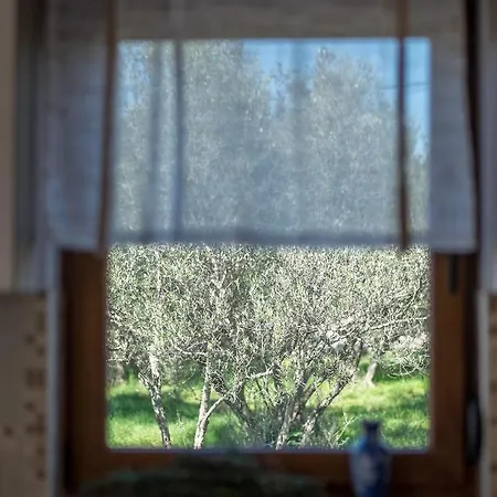 Dijana West * Linardici